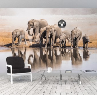Picture of Family of African elephants drinking at a waterhole in Etosha national park Namibia Africa